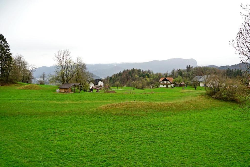 Studio Erzen Zgornje Gorje Exteriér fotografie